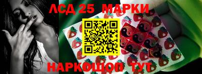 индика Малгобек
