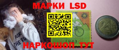 индика Малгобек