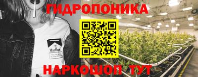 шишки Малоярославец