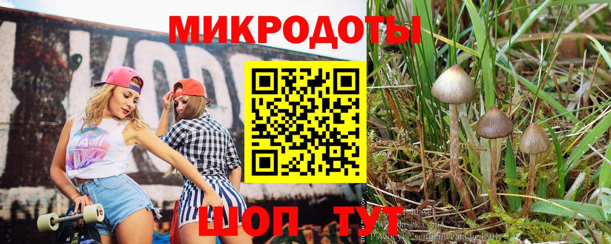 Галлюциногенные грибы Psilocybe Шадринск