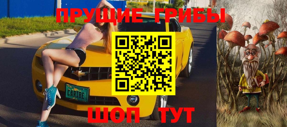 где найти наркотики  Вход с VPN  Шадринск  Псилоцибиновые грибы мицелий 