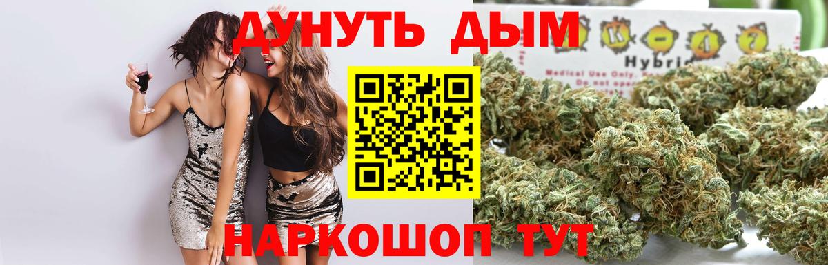 Конопля планчик Шадринск